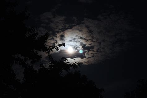 Gambar Pohon Cahaya Awan Langit Sinar Matahari Suasana Gelap