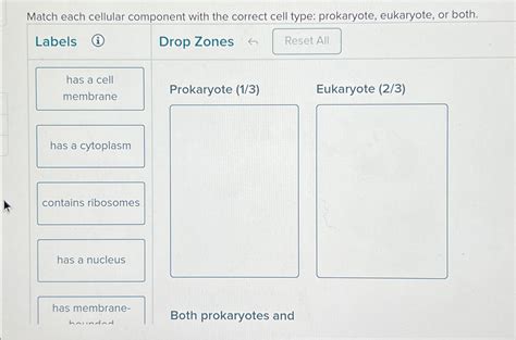 Solved Match Each Cellular Component With The Correct Cell Chegg