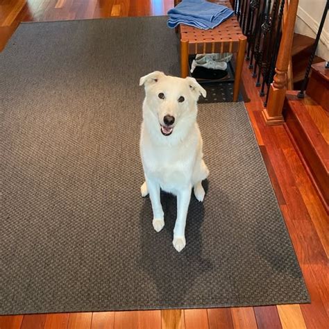 Junior Your Daddy Is Right There With Those Sex Offenders And So Is Matt Gazye And Many Other