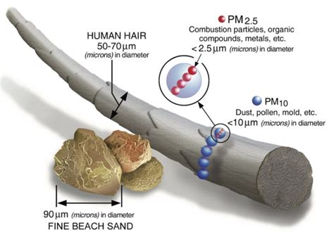 Limpatto Sulla Salute Dellinquinamento Atmosferico Da Particolato