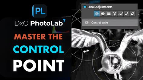 DXO PHOTOLAB 7 6 CONTROL POINT TIPS FOR MORE PRECISE MASKS AND PERFECT