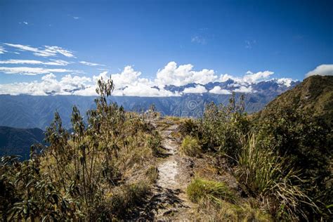 Peaceful Hiking Trail - Peruvian Andes Stock Photo - Image of altitude, range: 228175718