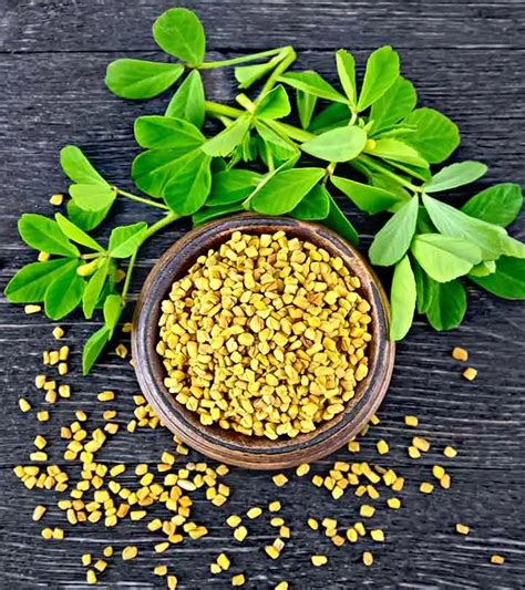 Incredible Benefits Of Fenugreek Tea How To Make It