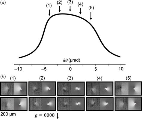 IUCr Quantitative Analysis Of Dislocations In 4H SiC Wafers Using