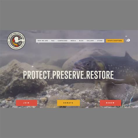 The Native Fish Message Is Being Heard Nationally — Native Fish Coalition