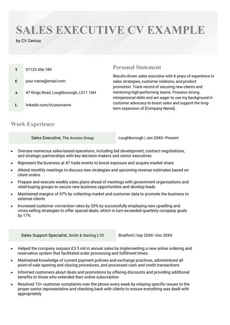 Sales Executive Cv Sample And Skills