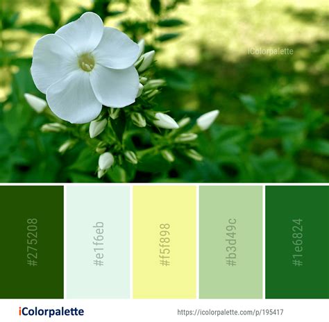 Color Palette Ideas From 9097 Flower Images IColorpalette Color