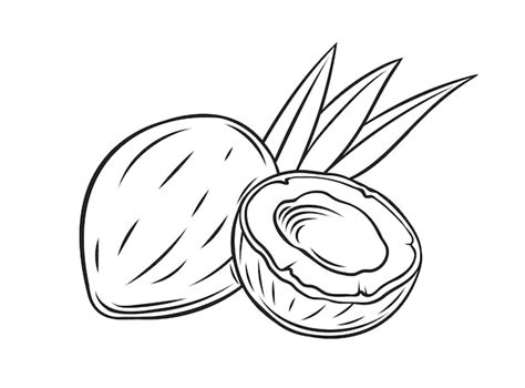 Coconut Fruit Coloring Page (Free Printable)