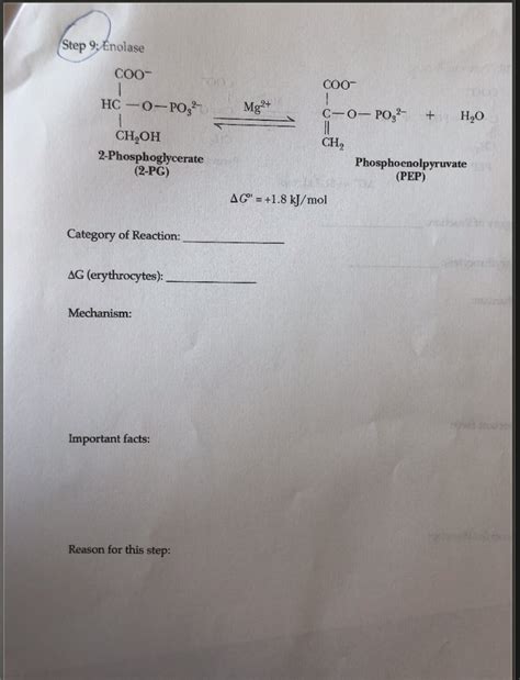 Solved Step Enolase Coo C O Po Ch Hc O Po Mg Chegg