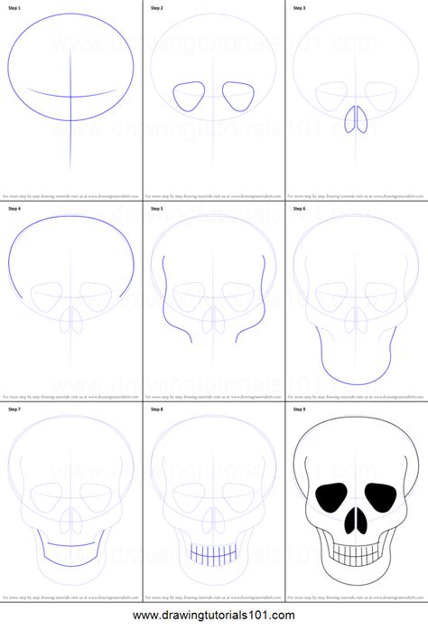 How To Draw Skull Easy Printable Drawing Sheet By Drawingtutorials101