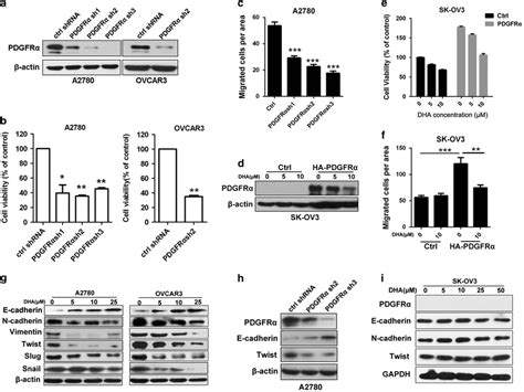 Pdgfr Mediates The Dha Induced Suppression Of Cancer Cell Growth The