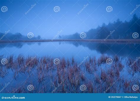 Wild Lake In Misty Dusk Stock Image Image Of Blue Netherlands 35379847