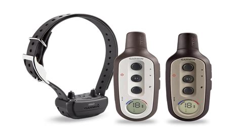 Garmin Introduces New Line of Electronic Dog Training Collars | OutdoorHub