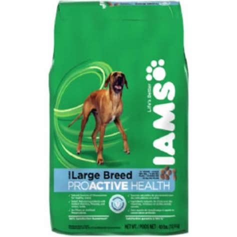 Iams 70072 31.1 lbs. Large Breed Dry Dog Food, 1 - Kroger