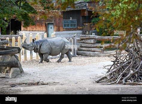 Zoo Vienna Schönbrunn Stock Photo - Alamy