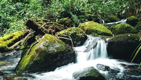 Natur Pur Panamas Top 8 Nationalparks WeDesignTrips