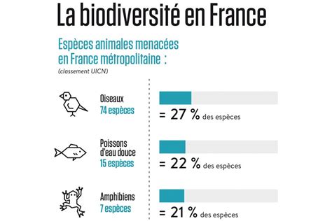 La Biodiversité En France Terra Eco