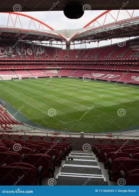 View of Da Luz Stadium: Red Empty Seating and Green Soccer Pitch