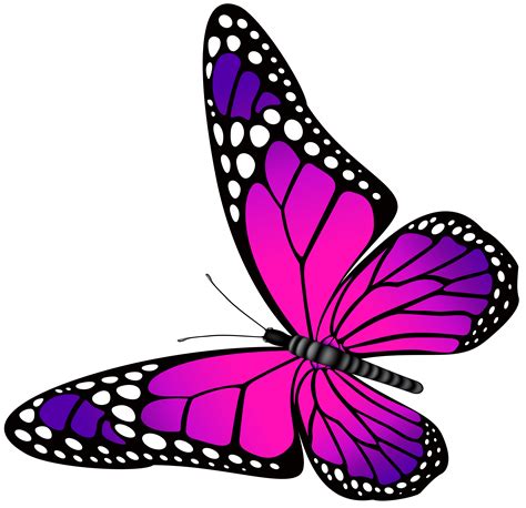 Butterfly Purple Clip art - Butterfly Pink and Purple Transparent PNG ...