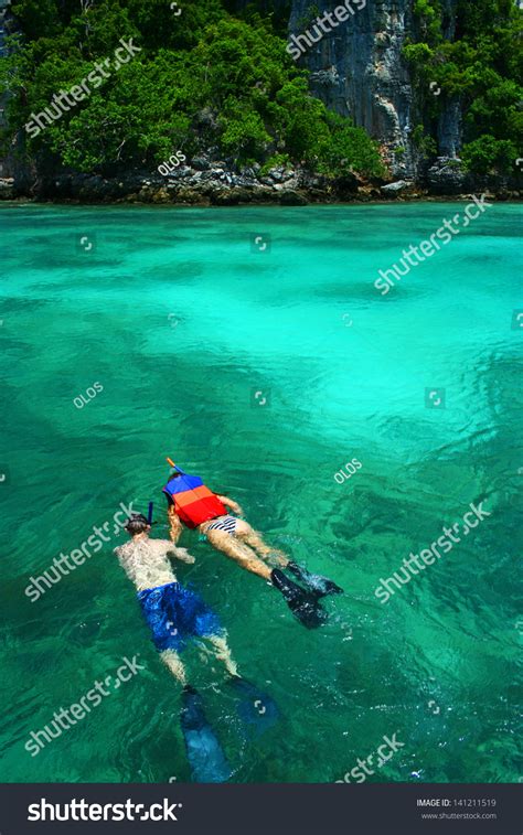 Snorkeling Phi Phi Island Phuket Thailand Stock Photo 141211519 - Shutterstock