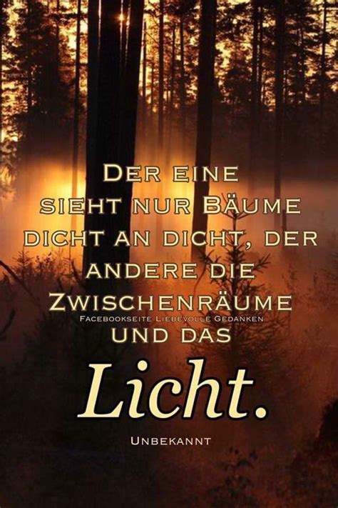 An Image Of The Sun Shining Through Some Trees With Words In German