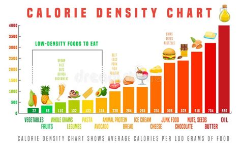 Calorie Density Poster What Calories Look Like In The Stomach