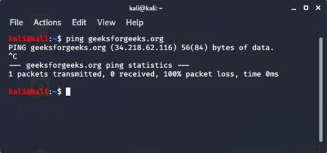 Top 10 Kali Linux Tools For Hacking - GeeksforGeeks