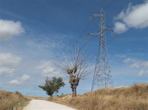 Rabe De Las Calzadas Aufgenommen Auf Einer Radreise Auf De Flickr