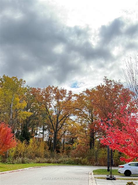 18 Macdonald Court, Richmond Hill, ON L4E 4S3