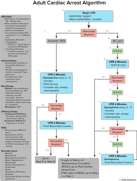 Acls Provider Manual 2021 Pdf Free