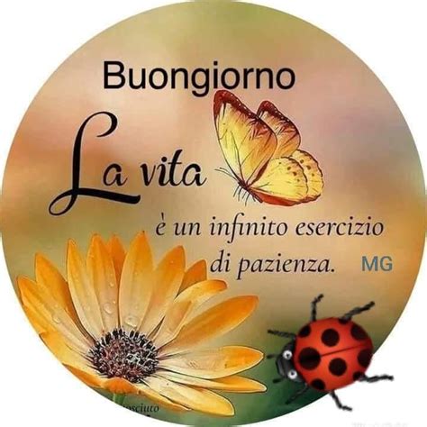 Pin Di Mg Su Buongiorno Buongiorno Buongiorno Immagini Citazione