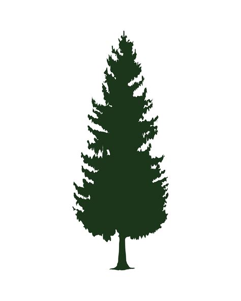 green leafy pine tree silhouette icon 3688771 Vector Art at Vecteezy