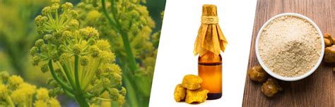 asafoetida usage dosage side effects   places  buy