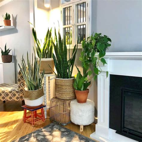 Diy Plant Stand Ideas To Fill Your Room With Greenery These Trendy