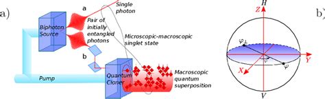 Figure 1 From Numerical Model For Macroscopic Quantum Superpositions