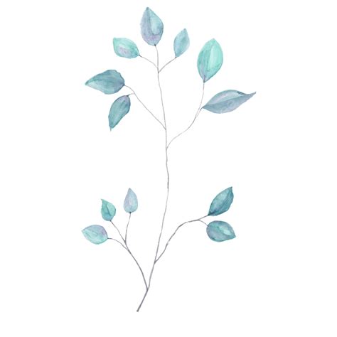 Ramas De Flores De Acuarela Azul Claro Png Flor Salir Acuarelas Png