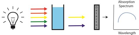 What is a Spectrophotometer | ChemTalk