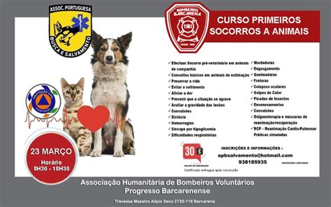 Este S Bado H Um Curso De Primeiros Socorros A Animais Em Barcarena