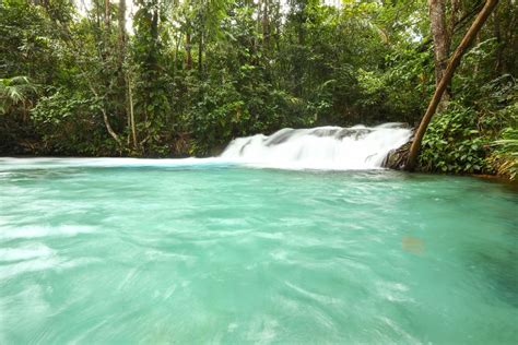 Cachoeira Do Formiga Jalap O