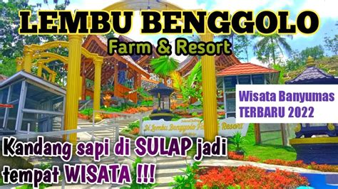 Wisata Lembu Benggolo Farm Resort Wisata Terbaru 2022 Banyumas