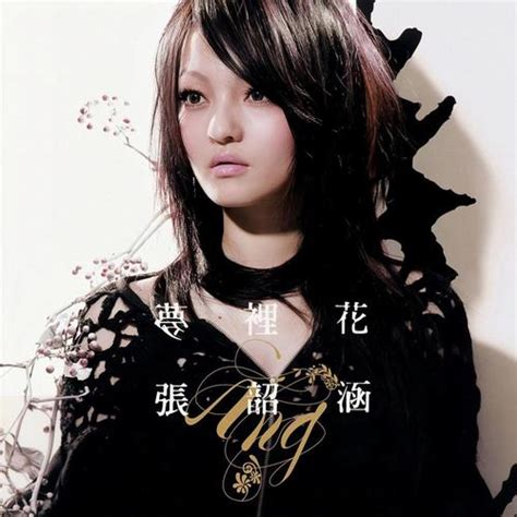 梦里花 张韶涵 Mp3免费在线下载播放 歌曲宝 找歌就用歌曲宝 Mp3音乐高品质在线免费下载