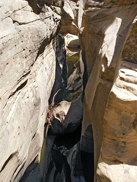 Watery Slot Canyon Pumphouse Wash Arizona