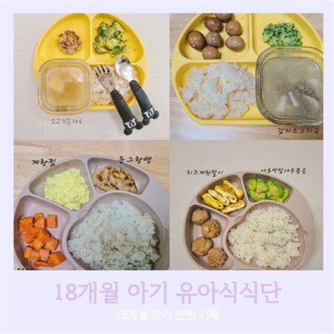 18개월 아기 반찬 유아식 식단 모음 네이버 블로그