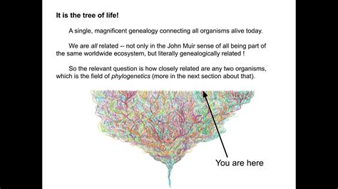 Spatial Phylogenetics Module Overview Of Spatial Phylogenetics Youtube