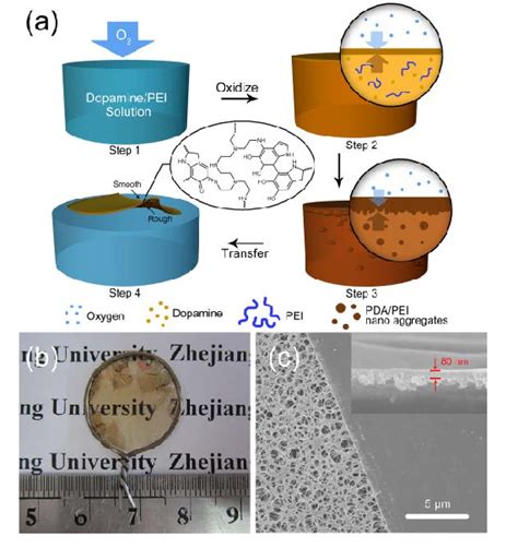 Figure From Composite Free Standing Films Of Polydopamine