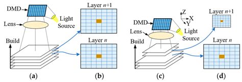 single branched chain structure  scientific diagram