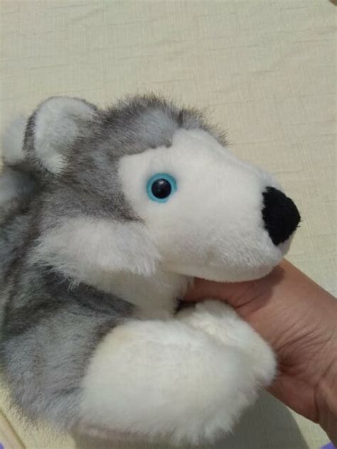 Aurora 14 Plush Gray And White Flopsie Husky Wolf Dog Blue Eyes Puppy