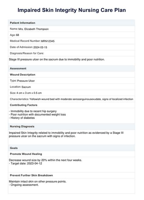 Impaired Skin Integrity Nursing Care Plan Template Example Free PDF