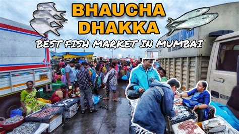 Best Fish Market In Mumbai Super Fresh Fishes On Low Price Bhau Cha