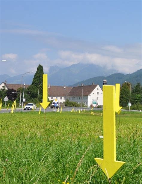 Gelbe Karte für Abfälle auch in Bludenz Vorarlberger Nachrichten VN at